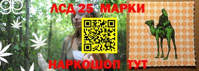 мяу мяу мука Кингисепп
