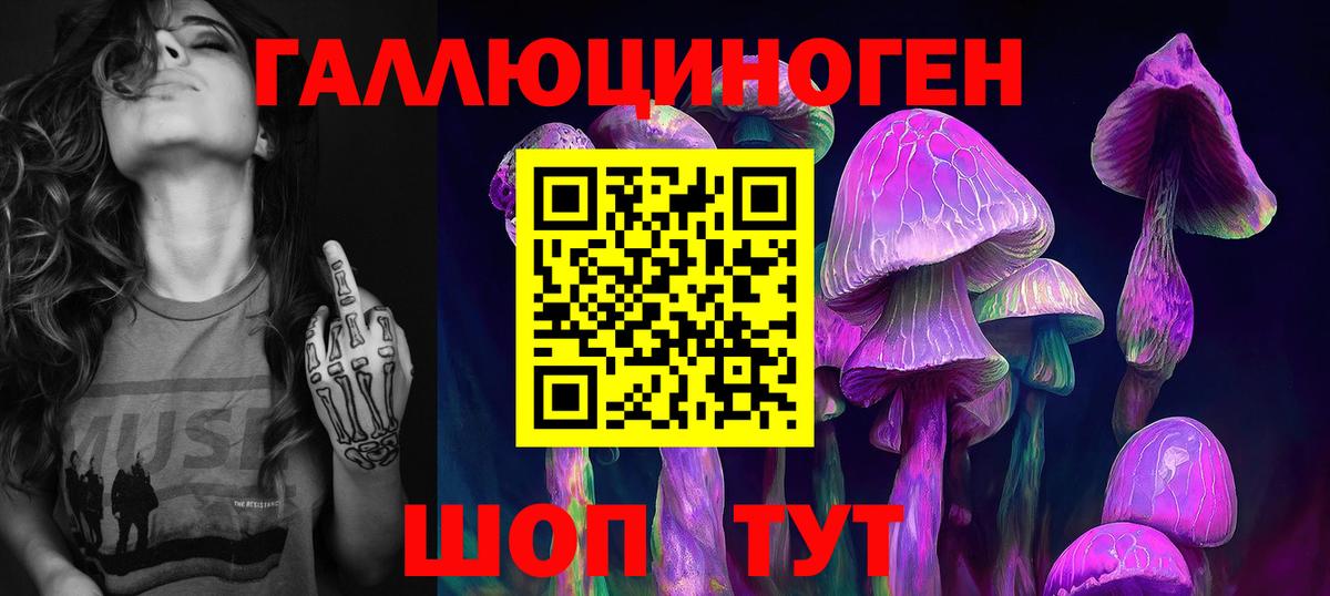 Краснокамск  Псилоцибиновые грибы прущие грибы  закладки  Псилоцибиновые грибы Psilocybe  Вход с VPN 